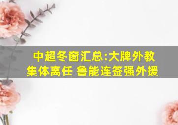 中超冬窗汇总:大牌外教集体离任 鲁能连签强外援